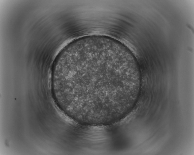 X0000097461126200803141845