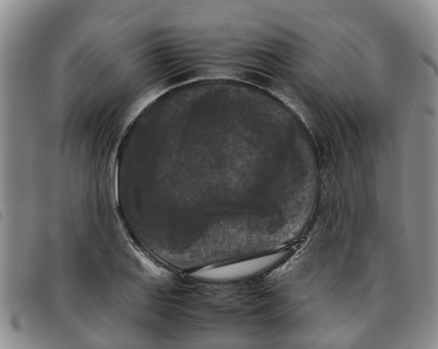 X0000097461127200803141845