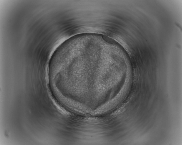 X0000097461128200803141845