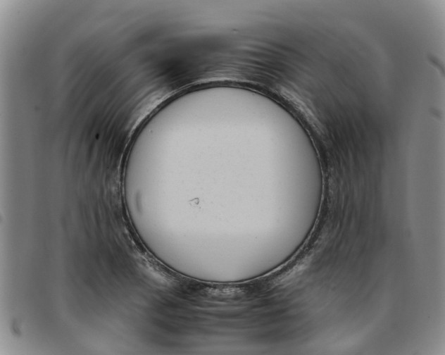 X0000097461129200803141845