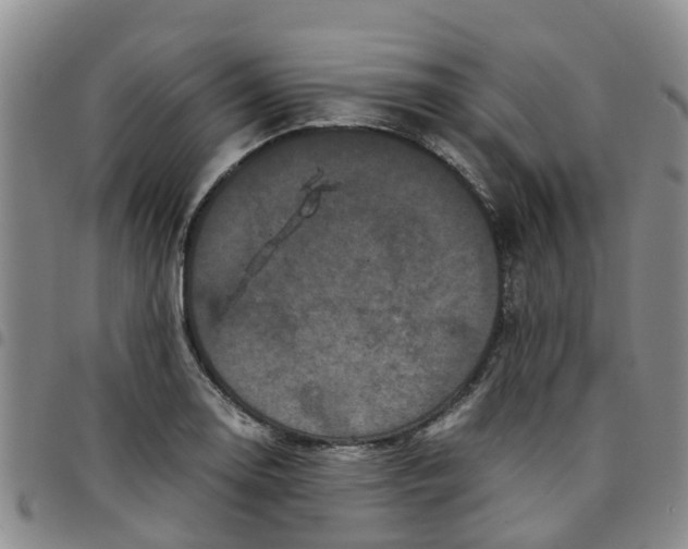 X0000097461130200803141845