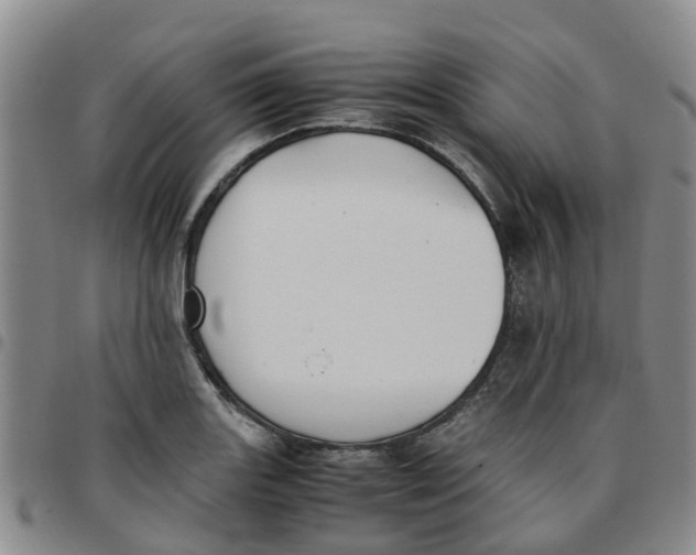 X0000097461131200803141845