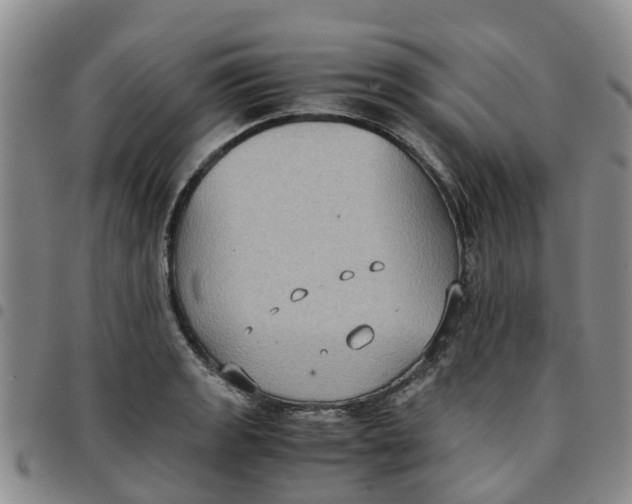 X0000097461133200803141845