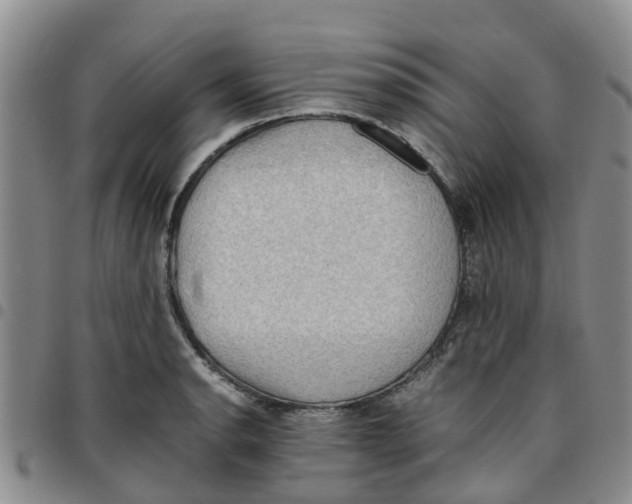 X0000097461134200803141845