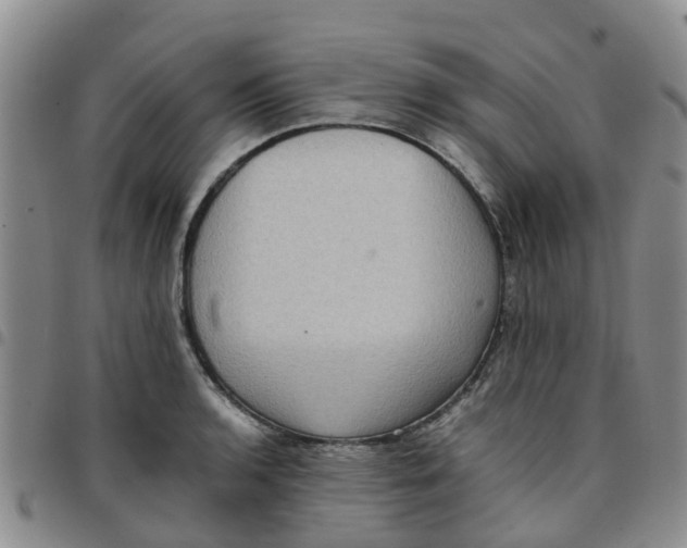 X0000097461136200803141845