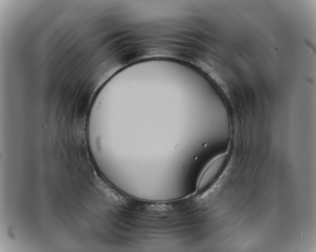 X0000097461137200803141845