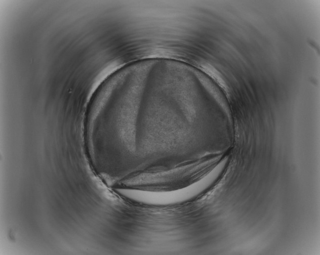 X0000097461138200803141845