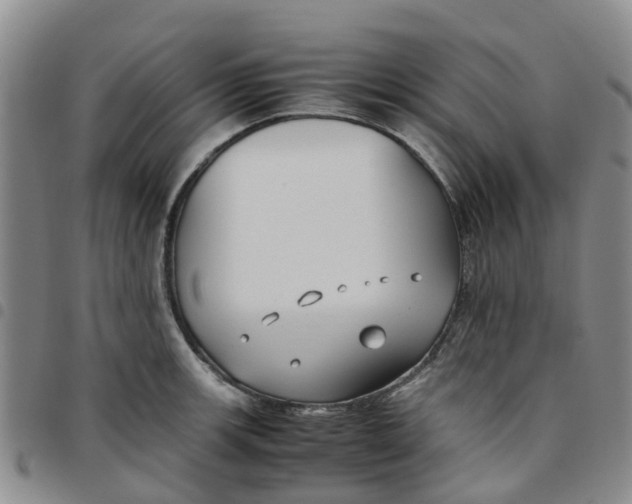 X0000097461139200803141845