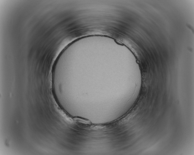 X0000097461140200803141845