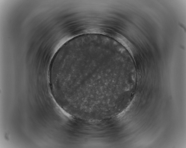 X0000097461141200803141845