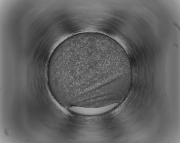 X0000097461142200803141846