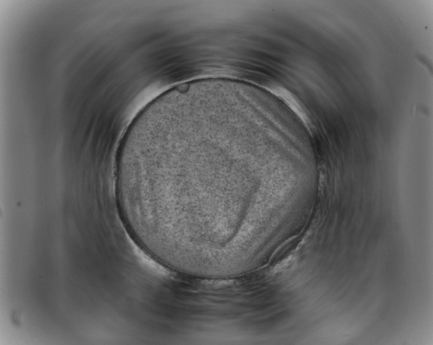 X0000097461143200803141846