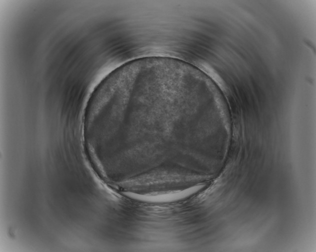 X0000097461144200803141846