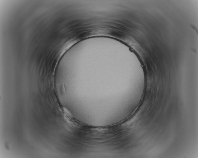 X0000097461145200803141846