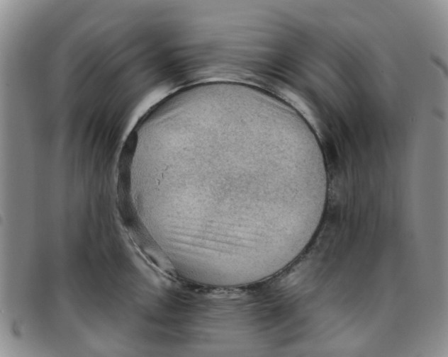 X0000097461146200803141846