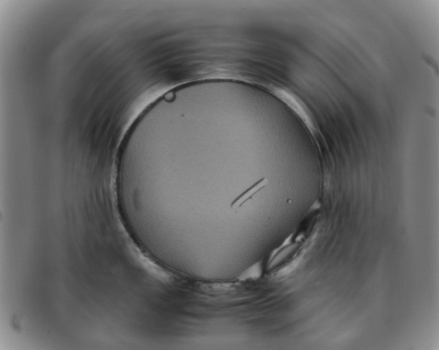 X0000097461149200803141846