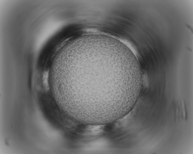 X0000097461150200803141846