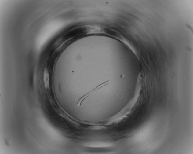 X0000097461151200803141846