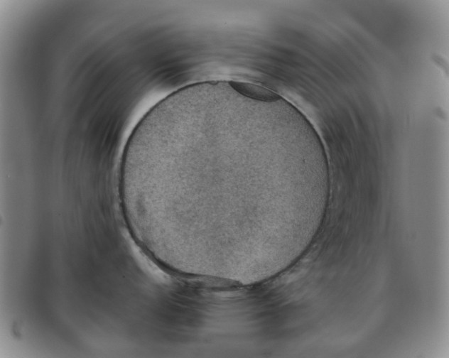 X0000097461152200803141846