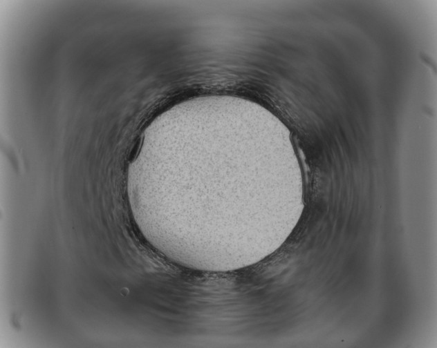 X0000097461153200803141845