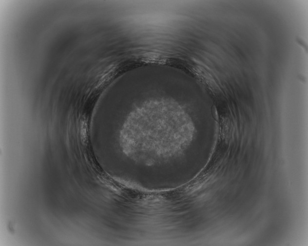 X0000097461154200803141845