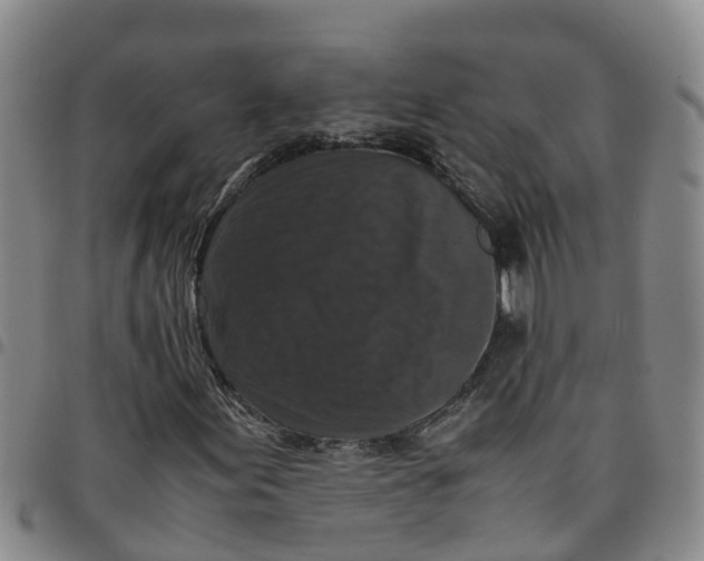 X0000097461155200803141845