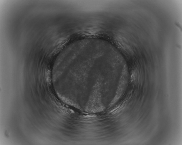 X0000097461156200803141845