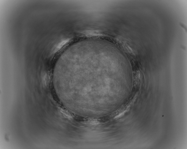 X0000097461157200803141845