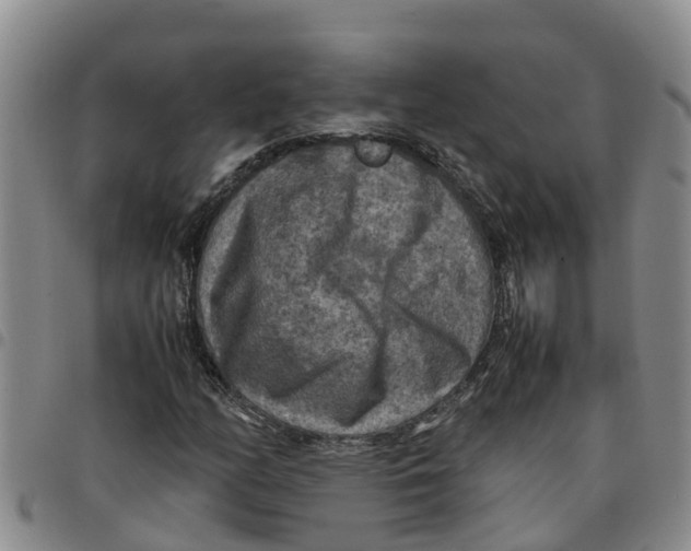 X0000097461158200803141845