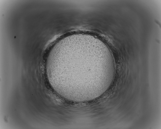 X0000097461159200803141845