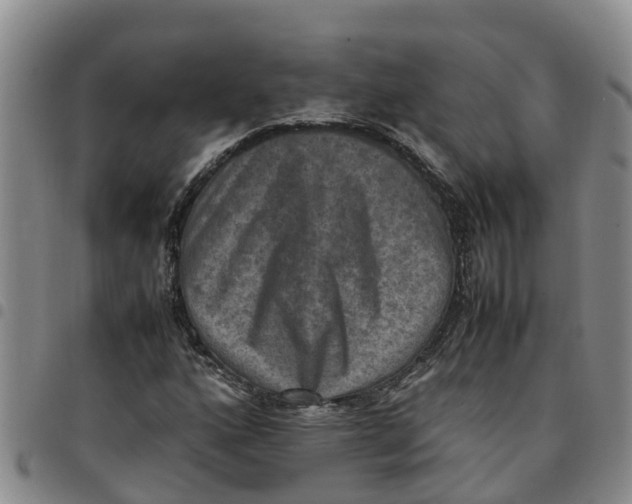 X0000097461160200803141845