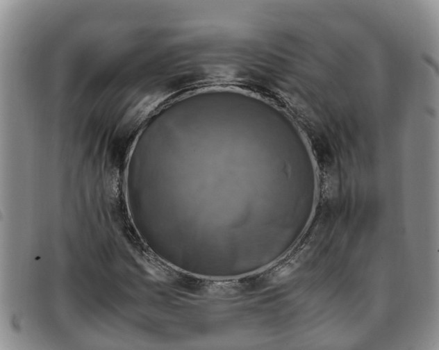 X0000097461161200803141845