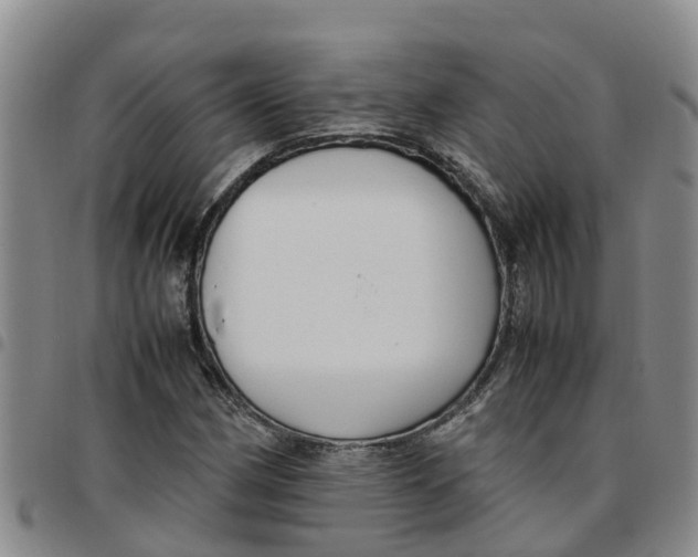 X0000097461162200803141845