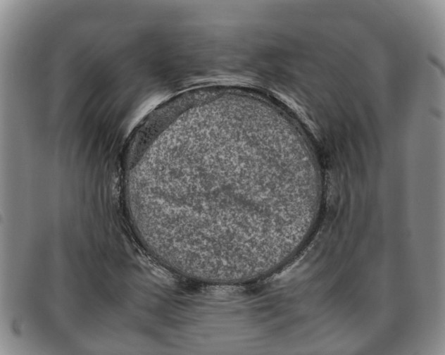 X0000097461163200803141845