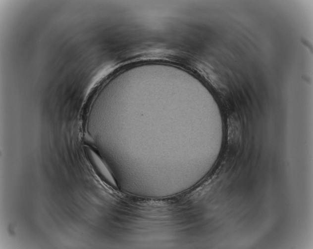 X0000097461164200803141845