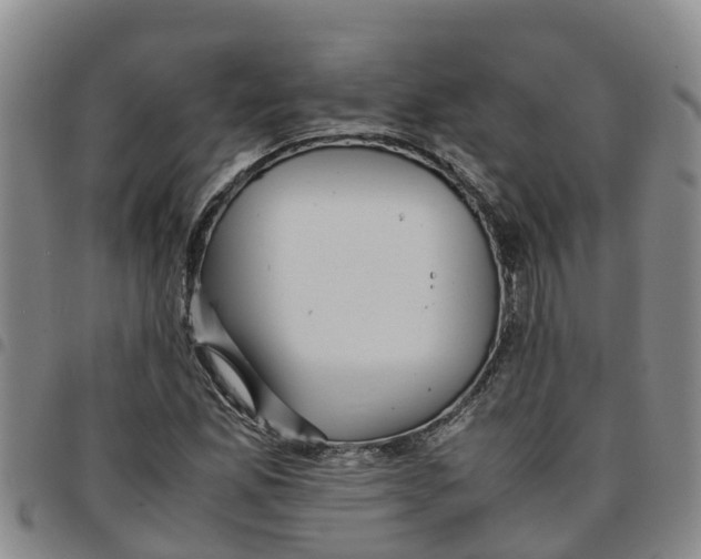 X0000097461165200803141845