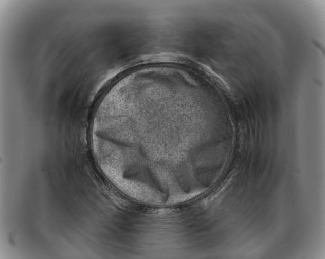 X0000097461166200803141845