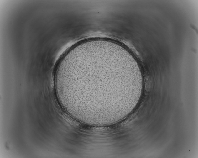 X0000097461167200803141845