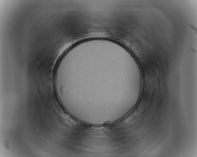 X0000097461168200803141845