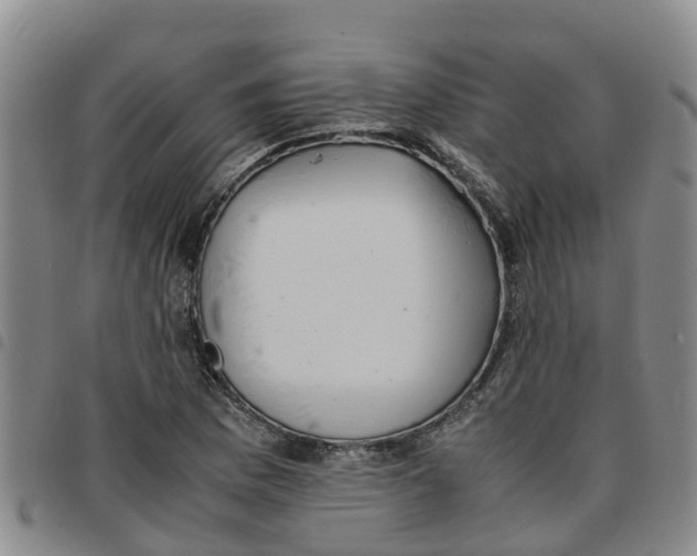 X0000097461169200803141845