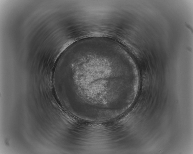 X0000097461170200803141845