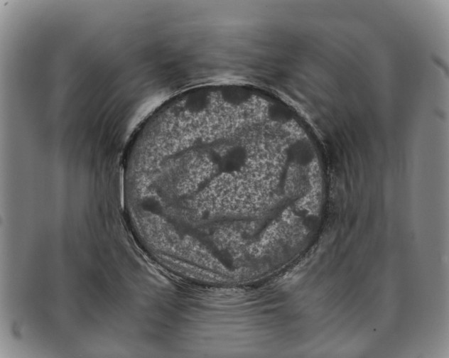 X0000097461171200803141845