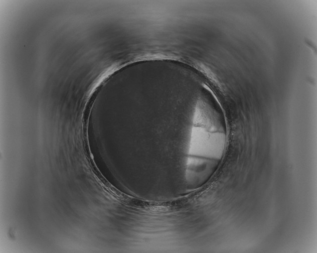 X0000097461173200803141845