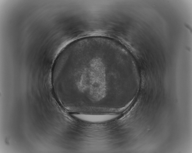 X0000097461174200803141845