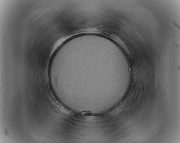 X0000097461176200803141845