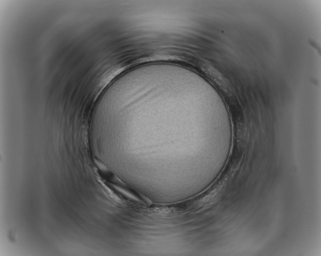 X0000097461177200803141845