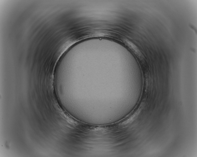 X0000097461178200803141845