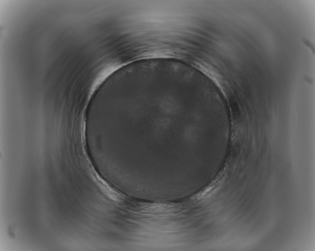 X0000097461179200803141845