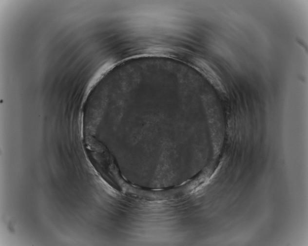 X0000097461180200803141845