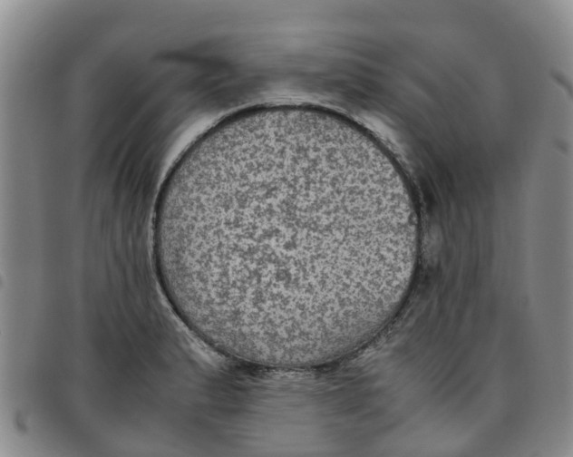 X0000097461183200803141845